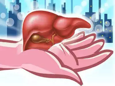 Liver Transplant In US